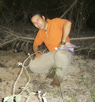 Latif Kalin